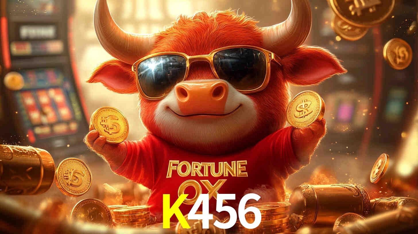 K456 Aplicativo - K456 visual 2