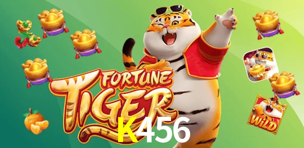 Comparação app mobile e versão web K456